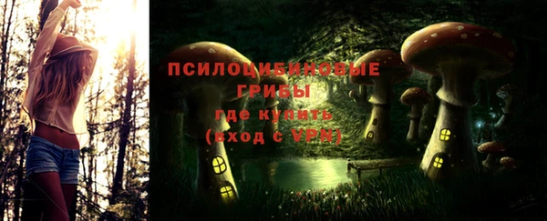 соль курить ск Вязьма