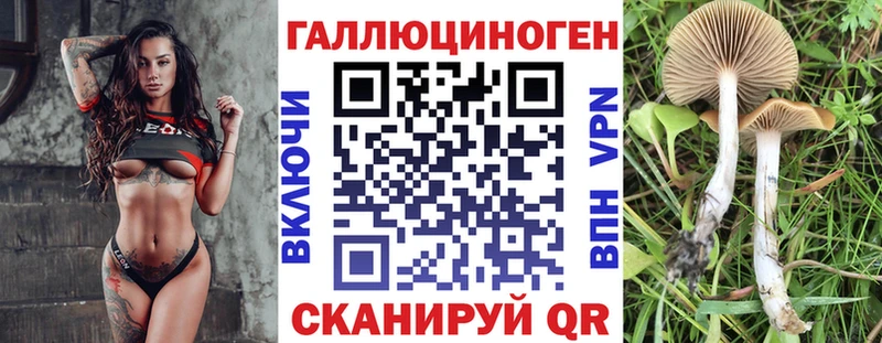 Галлюциногенные грибы Psilocybe  Купить где  Каменск-Уральский 